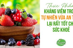 THỰC PHẨM KHÁNG VIÊM TRONG TỰ NHIÊN VỪA AN TOÀN LẠI RẤT TỐT CHO SỨC KHOẺ