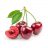 Cherry Đỏ Mỹ – 500Gram
