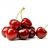 Cherry New Zealand 500g Size 30